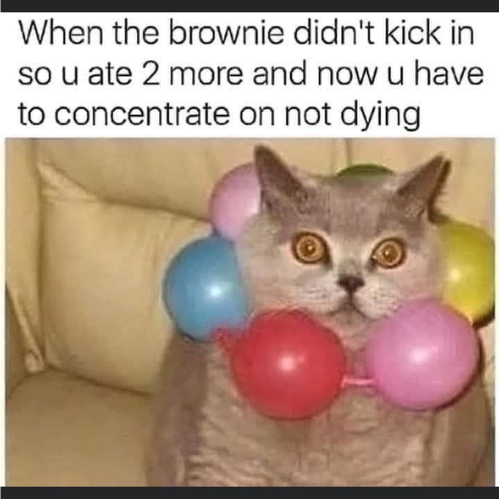 The best meme